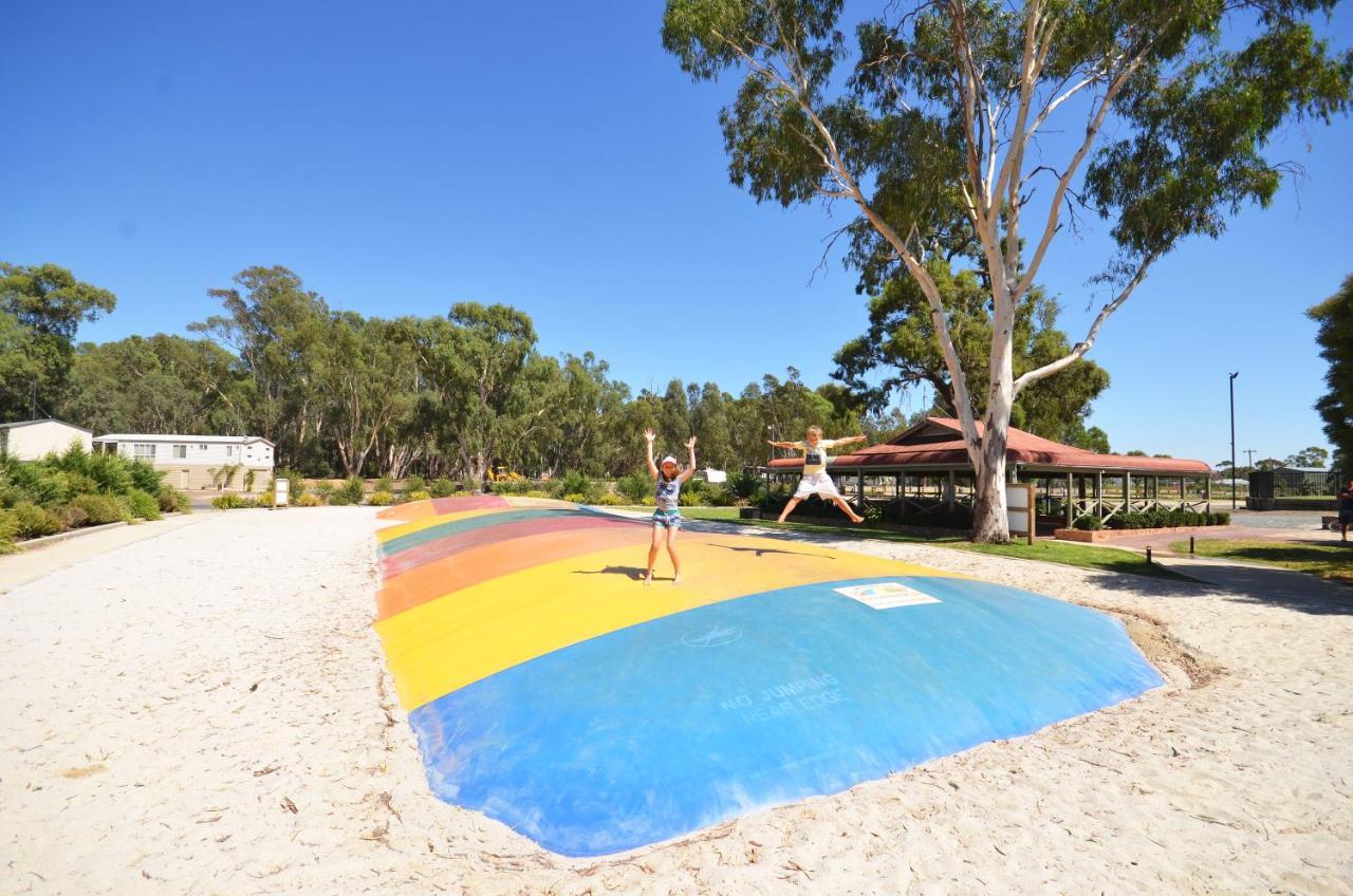 Tasman Holiday Parks - Merool On The Murray Echuca Dış mekan fotoğraf